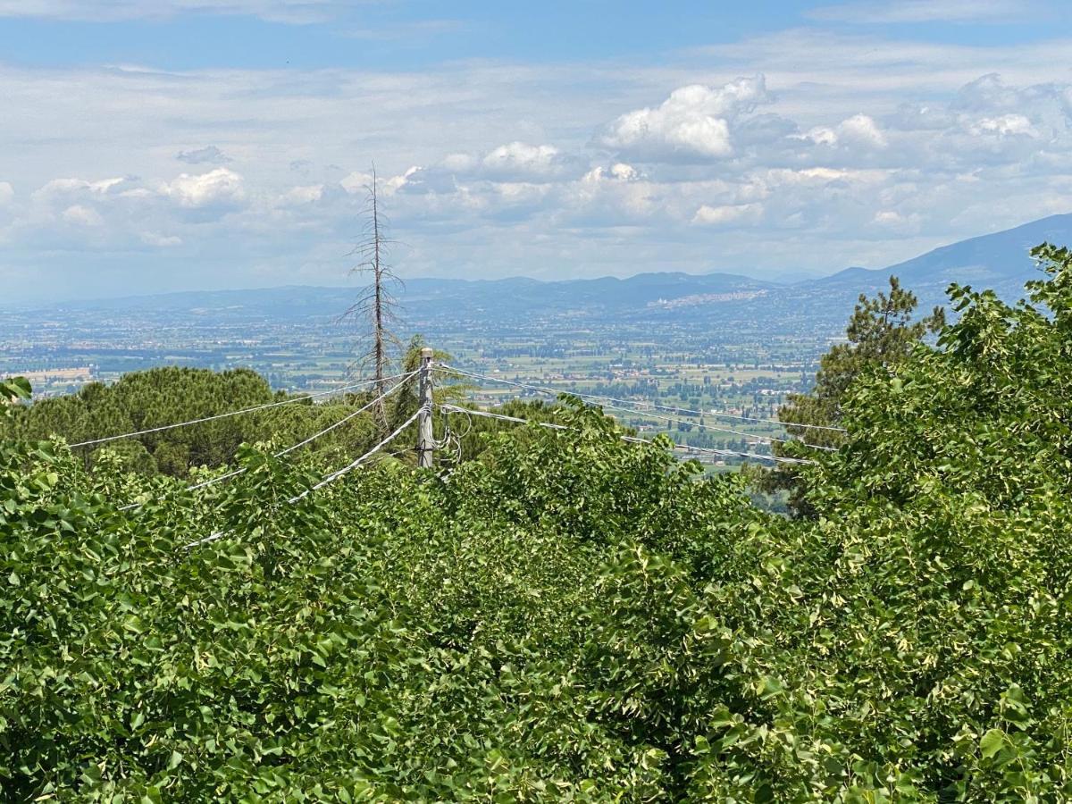 App. Con Terrazza Panoramica In Centro-Montefalco Exteriör bild