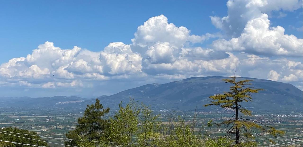 App. Con Terrazza Panoramica In Centro-Montefalco Exteriör bild